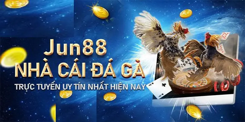 Nguồn gốc của đá gà Jun88